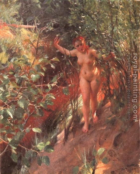Anders Zorn : Red sand